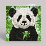 Crystal  Art Card Craft Kits by Craft Buddy