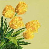 Crystal  Art Card Craft Kits by Craft Buddy