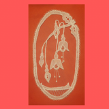 Beginner Carrickmacross Lace Class