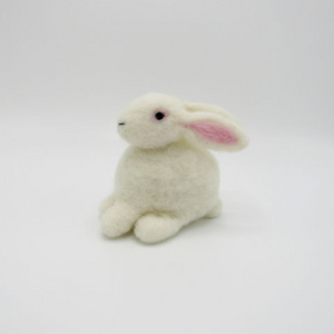 Beginner Needle Felting Kits
