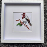 Robin Redbreast Frame