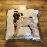 Pug cushion