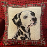 Animal Themed Cushions