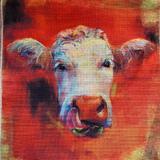 Digitally printed Panels