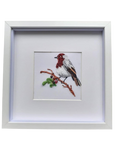 Robin Redbreast Frame