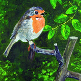 Robin greeting card