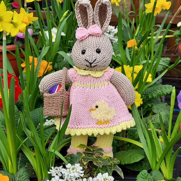 Knit an Easter Bunny Course