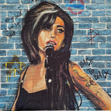 Digitally printed Panels