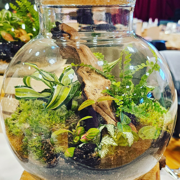 Terrarium Workshop