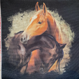 Digitally printed Panels