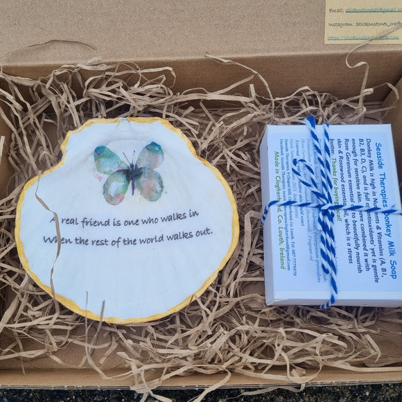 Scallop Shell Soap Dishes