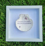 Framed Scallop Shell Inspirational Quotes