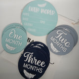 Baby Milestone Discs
