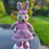 Knitted Bunnies, Bears and other  animals