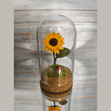 Crochet Flowers