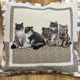 Animal Themed Cushions