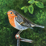 Robin greeting card
