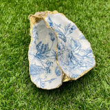 Double Sided Carlingford Oyster Shells