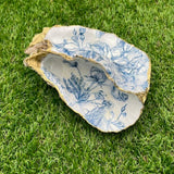 Double Sided Carlingford Oyster Shells