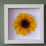 Dried Flower Framed Art