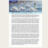 2026 Diary-Journal by Moon Mná