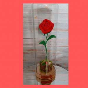 Forever Red Rose