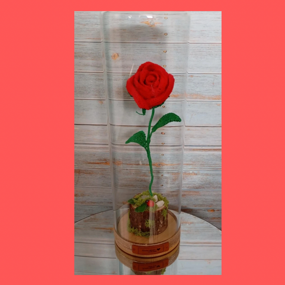 Forever Red Rose