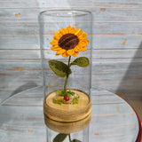 Crochet Flowers