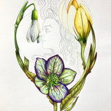 A Pocket Course to discover the Magic of Colouring