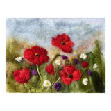 Crafts of Ireland Irish Wool Felting Picture Kits