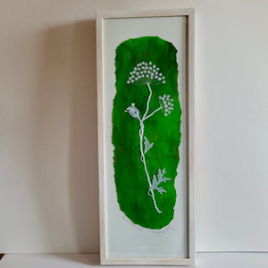 Queen Ann's Lace Carrickmacross lace