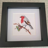 Robin Redbreast Frame