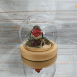 Winter Robin in a Glass Dome