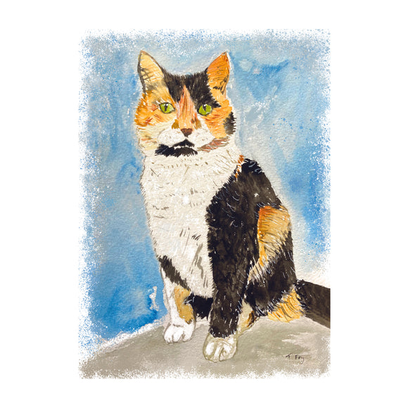 Scruffy Cat Card