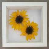 Dried Flower Framed Art