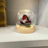 Winter Robin in a Glass Dome