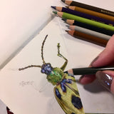 A Pocket Course to discover the Magic of Colouring
