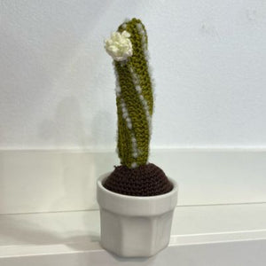 Cacti - hand crocheted