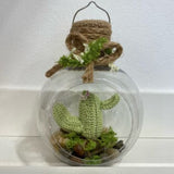 Cacti - hand crocheted