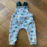 St. Patrick's Day Cross Back Overalls