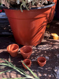 Tiny terracota pots