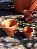 Tiny terracota pots